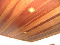 /album/forro-de-cedrinho/forro-de-cedrinho-13-jpg/